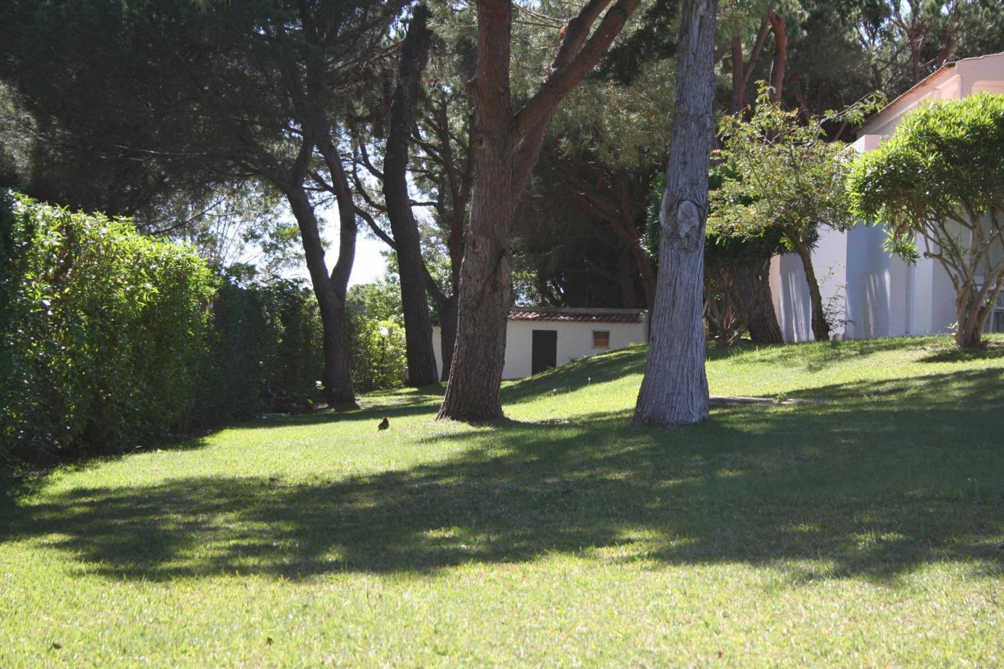 Aldeia Da Falesia Albufeira Exteriör bild